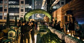 Vii Dubai – Secret Garden photo - Coming Soon in UAE