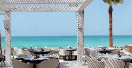 Shimmers photo - Coming Soon in UAE