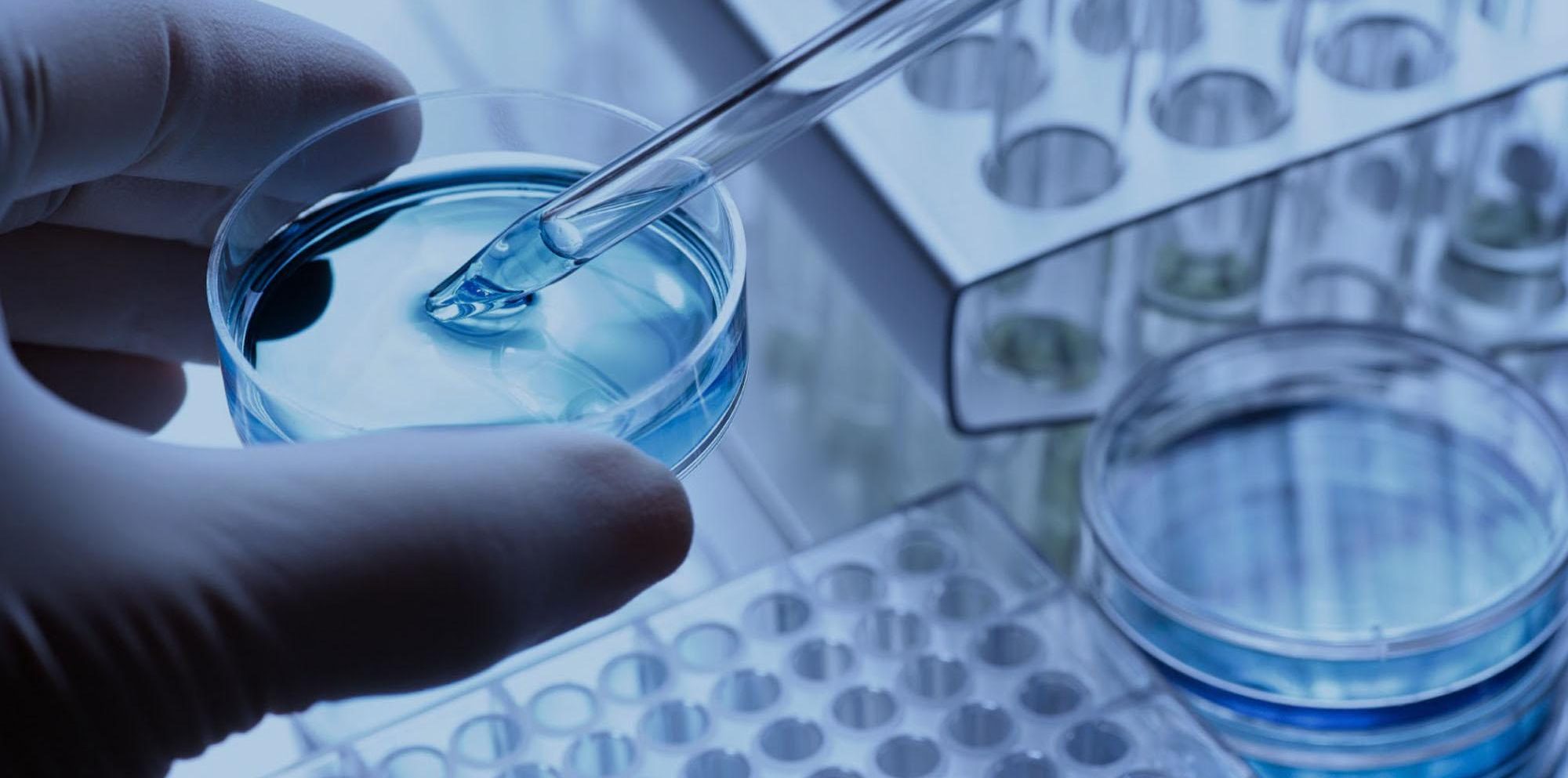 The IVF Journey in Dubai: From Treatment to Cost Expectations - Coming Soon in UAE