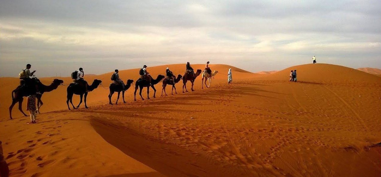 Top Things to Do at Evening Desert Safari - Coming Soon in UAE